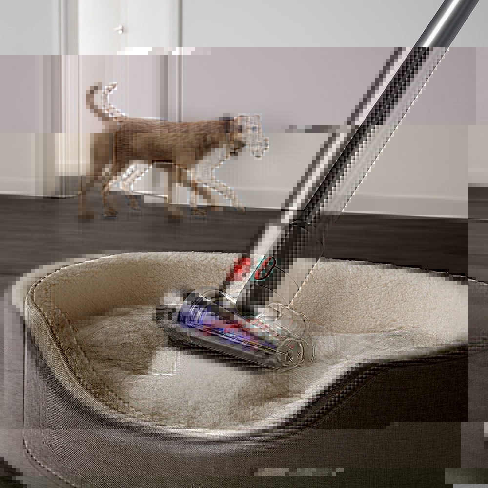 Dyson 戴森 V12 Detect Slim Total Clean SV35 輕量智慧無線吸塵器 (全新升級HEPA過濾) product lightbox image 4